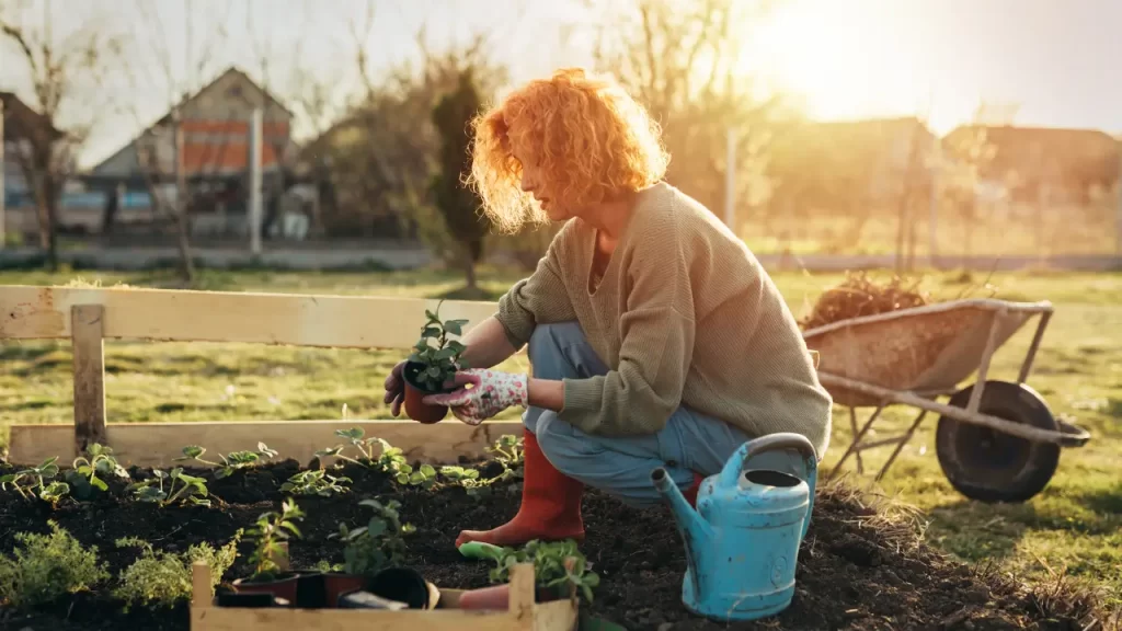 jardins que curam: Mulher cuidando de plantas em um jardim terapêutico caseiro