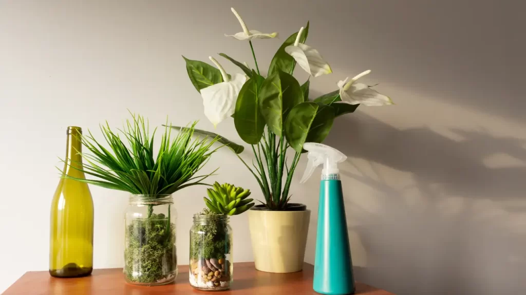decoração econômica usando plantas, vidros e garrafas