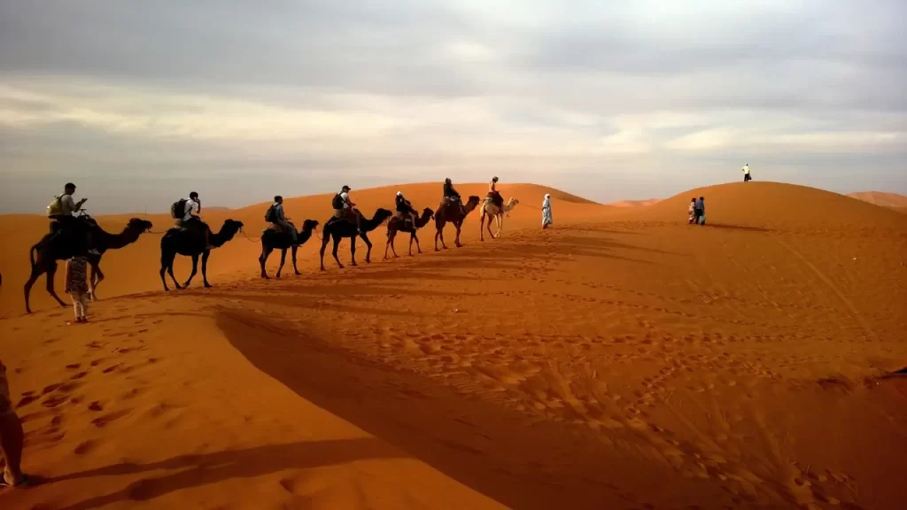 Saara um dos grandes desertos do mundo