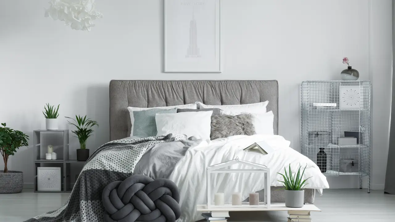 Quarto com varias plantas decorando