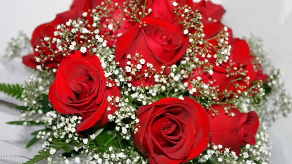 significado das cores das rosas